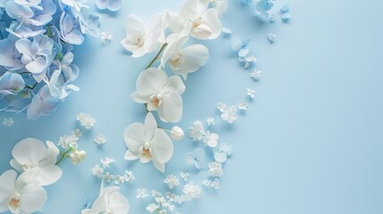 White Orchids and blue Hydrangeas on a clean sky blue background, highlighting elegance and serenity from above.