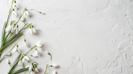 White Snowdrops arranged on a clean, soft winter white table, evoking a sense of purity and renewal, ideal for messages of hope.