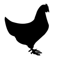 Chicken Silhouette Illustration