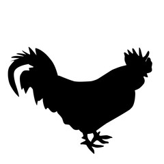 Chicken Silhouette Illustration