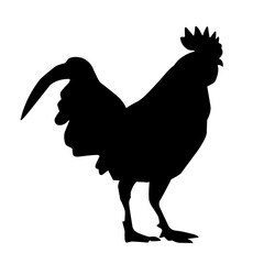Chicken Silhouette Illustration