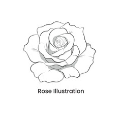Rose Illustration.eps