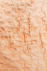 red brick wall texture