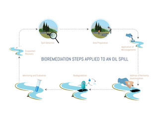 Circular diagram illustrating the bioremediation process for cleaning up an oil spill, highlighting key steps from initial detection to ecosystem recovery