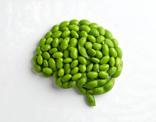 Green soybeans artfully arranged in the shape of a brain against a white background representing intellect and food