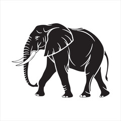 Obraz premium Jumbo elephant silhouette vector