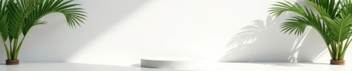 Obraz premium White wall, palm shadows, stone podium Minimal product display , health, sunlight