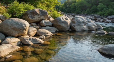 Serene Riverbank Scene Smooth River Stones and Lush Green Foliage