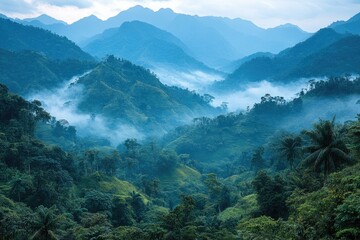 Misty valley view of lush green rainforest and tiered fields in Southeast Asia. Perfect for travel brochures, eco-tourism ads, and nature-themed websites.