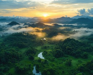 Aerial view of a lush, green forest landscape at sunrise with fog. Use for travel, nature, environment, or conservation projects.