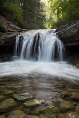 Obraz premium waterfall in the forest