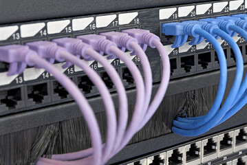Data center, network panel, switch and connected multi-colored cables
