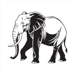 Obraz premium Jumbo elephant silhouette vector