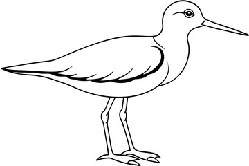 Obraz premium sandpiper silhouette line art vector illustration with a white background