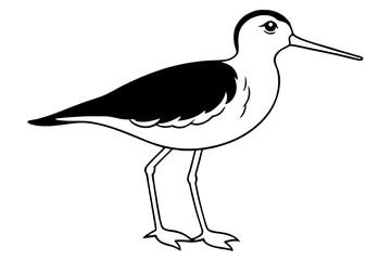Fototapeta premium sandpiper silhouette line art vector illustration with a white background