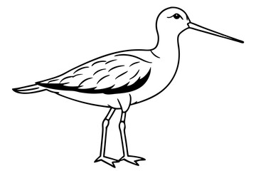 Obraz premium sandpiper silhouette line art vector illustration with a white background