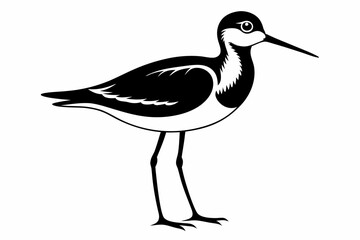 sandpiper silhouette line art vector illustration with a white background