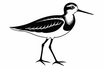 sandpiper silhouette line art vector illustration with a white background
