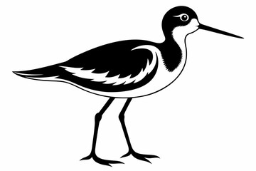 sandpiper silhouette line art vector illustration with a white background