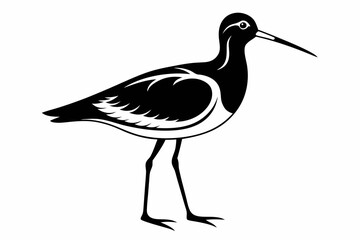 Obraz premium sandpiper silhouette line art vector illustration with a white background