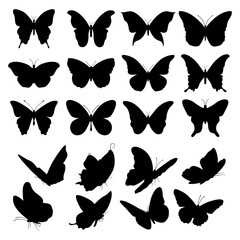 diverse butterfly silhouette collection