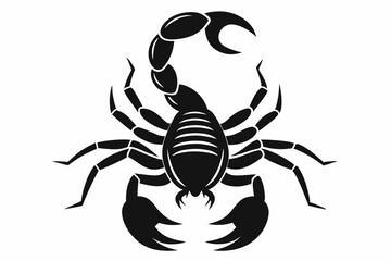 scorpion silhouette line art vector illustration with a white background