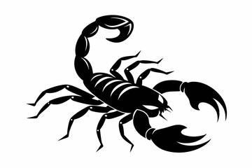 scorpion silhouette line art vector illustration with a white background
