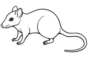shrew silhouette line art vector illustration with a white background