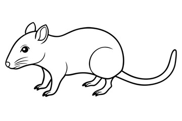 shrew silhouette line art vector illustration with a white background