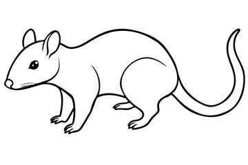 shrew silhouette line art vector illustration with a white background