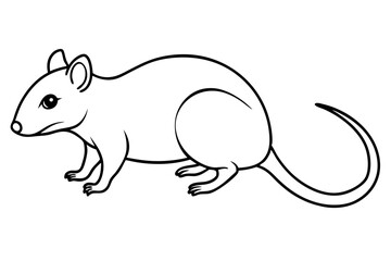 shrew silhouette line art vector illustration with a white background