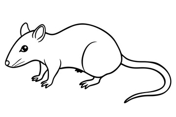 shrew silhouette line art vector illustration with a white background