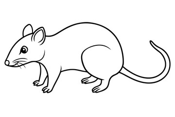 shrew silhouette line art vector illustration with a white background