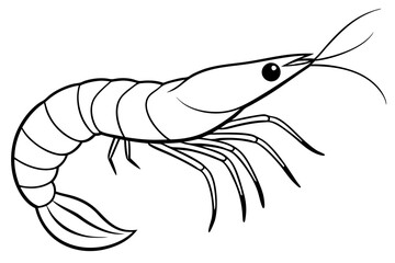 shrimp silhouette line art vector illustration with a white background