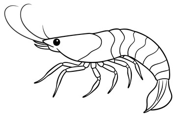 shrimp silhouette line art vector illustration with a white background