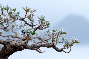 Fototapeta premium Close-up of a meticulously crafted bonsai tree, showcasing delicate leaves against a soft, blurred background, with intricate details and artistic design.