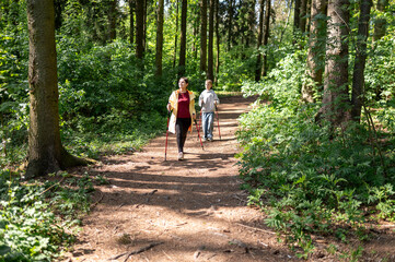 Mother and son walking through a sunny forest, practicing Nordic walking outdoors