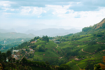 Fototapeta premium Munnar city with tea plantation, South India, landscape with fields in Kerala, Nilgiri hills , agriculture of Camellia Sansis plant