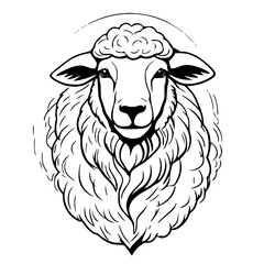vector illustration of a sheep