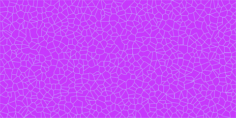 Abstract geometric network with irregular cell-like structures

