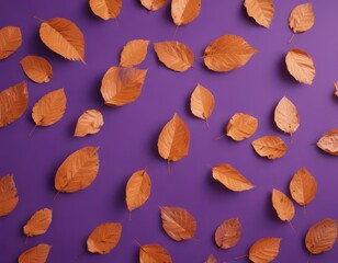 Delicate dry orange leaves, geometric violet backdrop, composition, violet