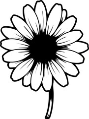 beautiful daisy flower black and white outline 