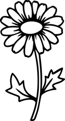 black and white daisy pattern 