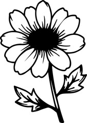 vector black transparent daisy flower 