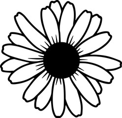 beautiful daisy flower 