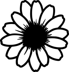 beautiful daisy flower 