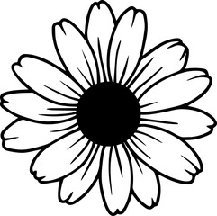 black and white daisy flower vector transparent 