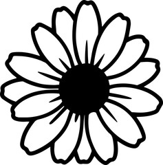 daisy flower black and white transparent