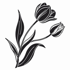  Design a Classic Serif or Sans Serif Font in Vector