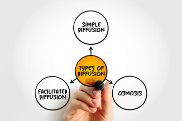 Types of Diffusion is the net movement of anything generally from a region of higher concentration to a region of lower concentration, mind map concept background